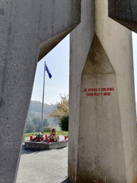 Polaganje vencev pri spomeniku, foto A Janezic (6)